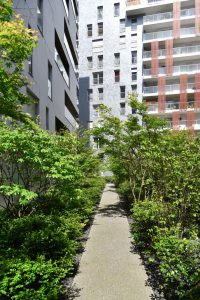 ENVERT-PAYSAGE-SAINT-OUEN